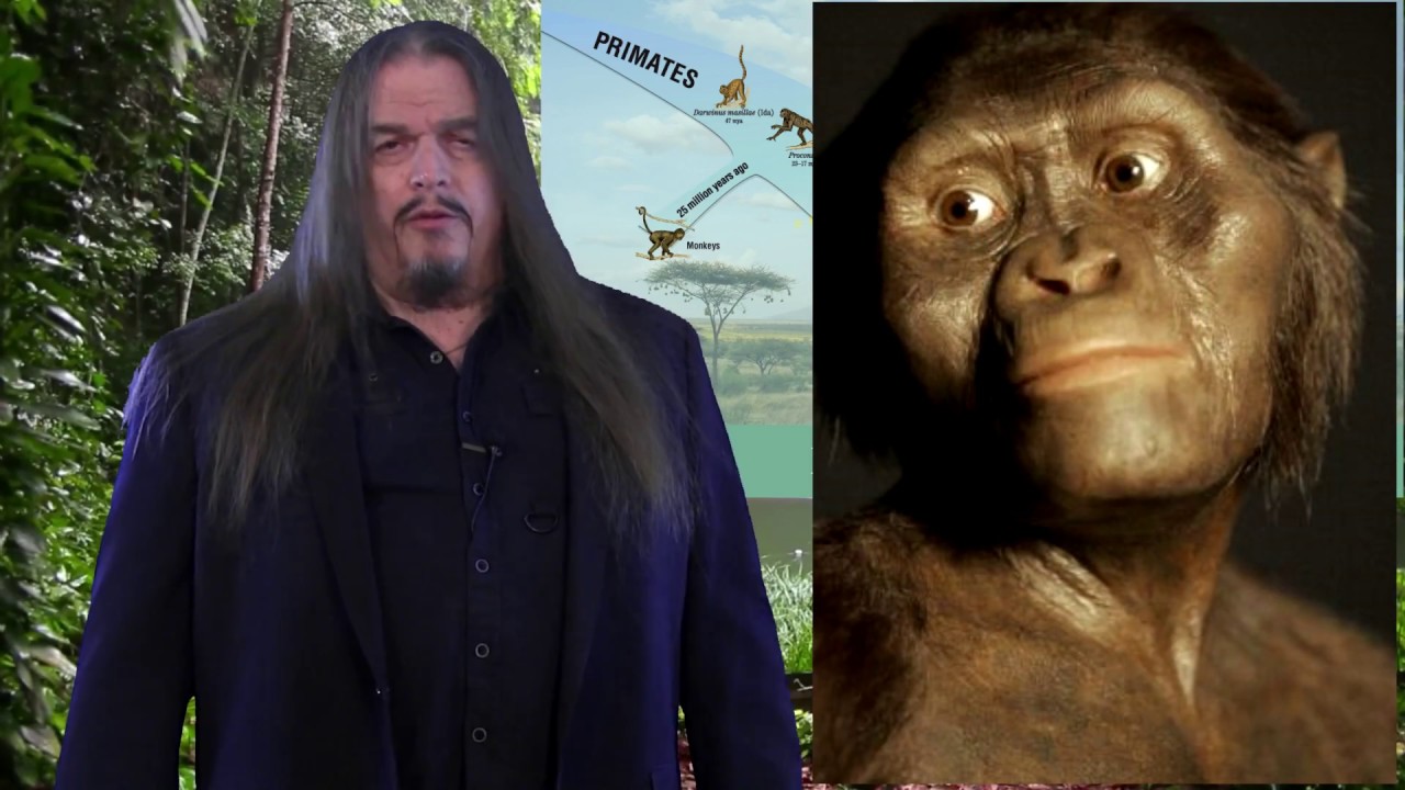 Как антропология опровергает Ноев потоп