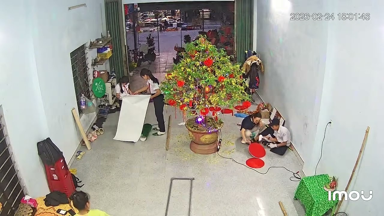 24 tháng 2, 2026