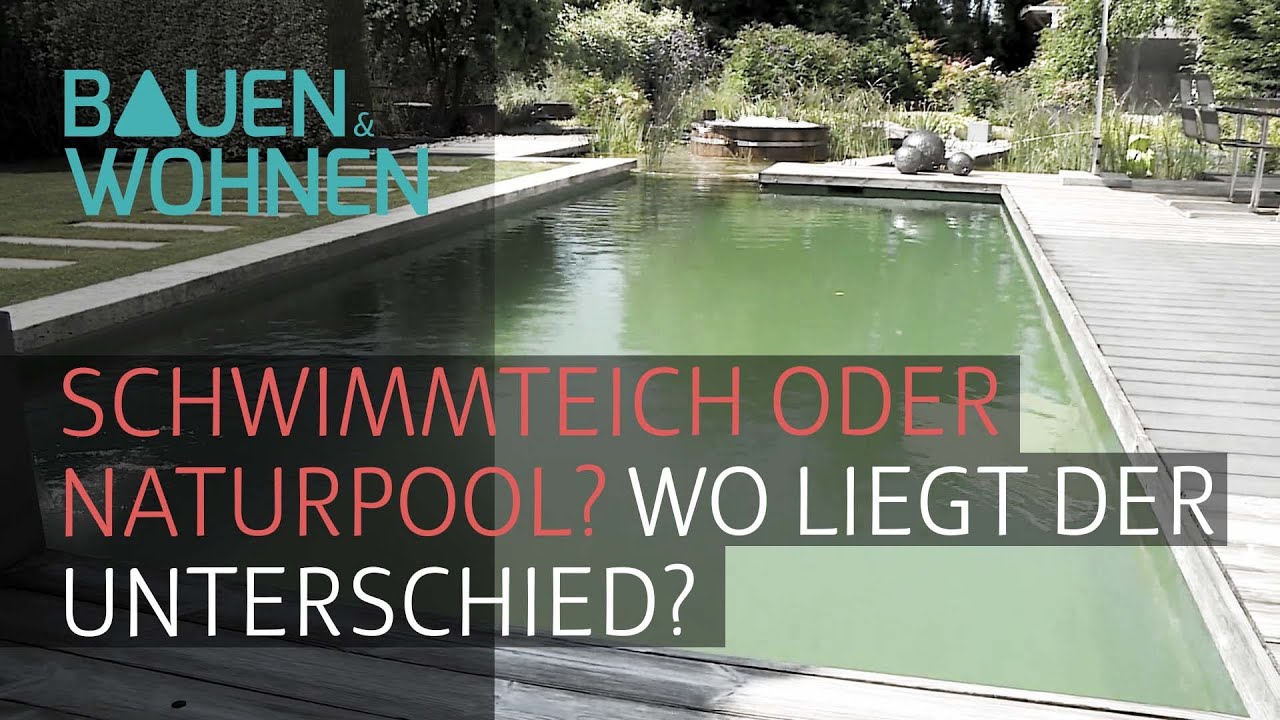 Garten / Pool: So cool ist ein Naturpool und das ist der Unterschied zum Pool?