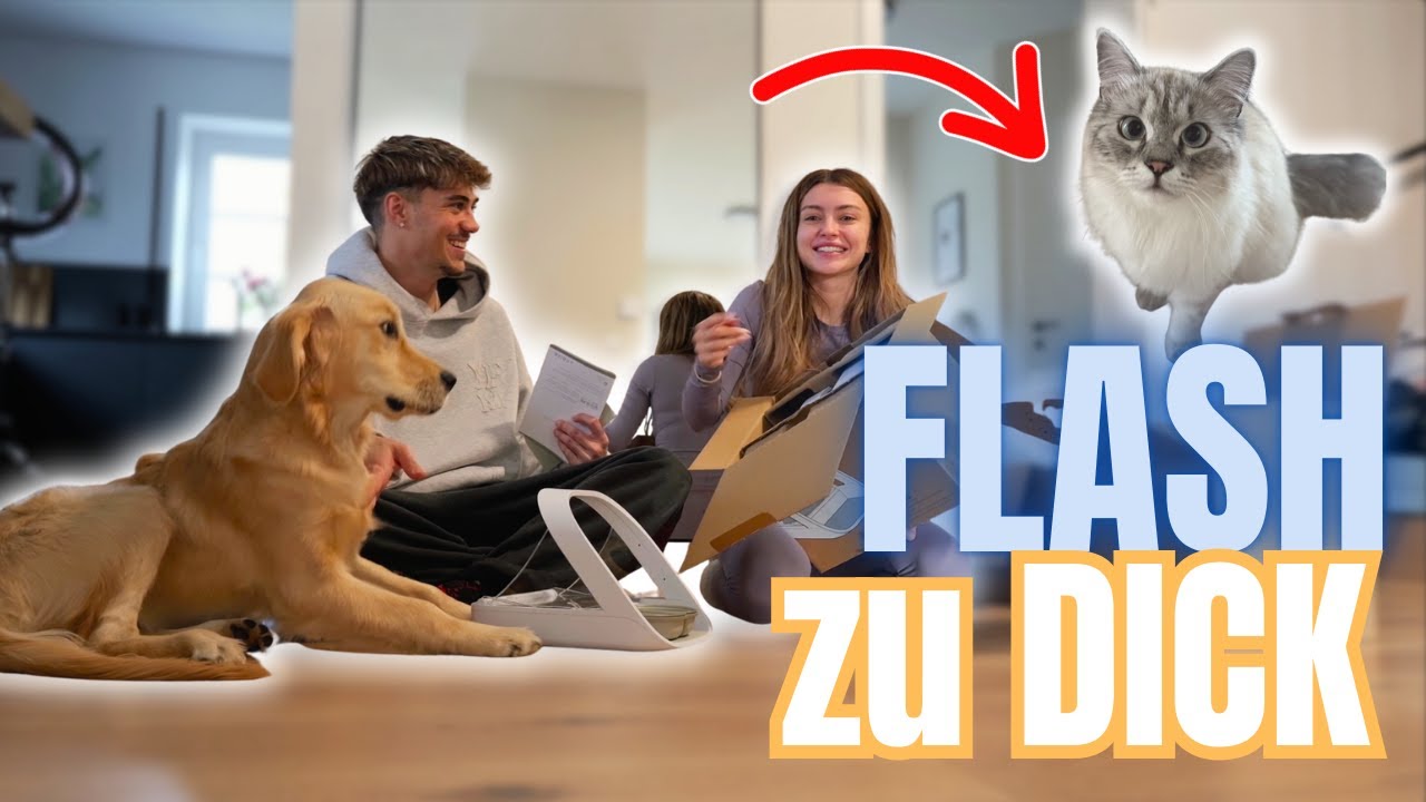 NEUE MÖBEL🛋️ & KATZENFUTTERAUTOMAT😺 Flash auf DIÄT😱