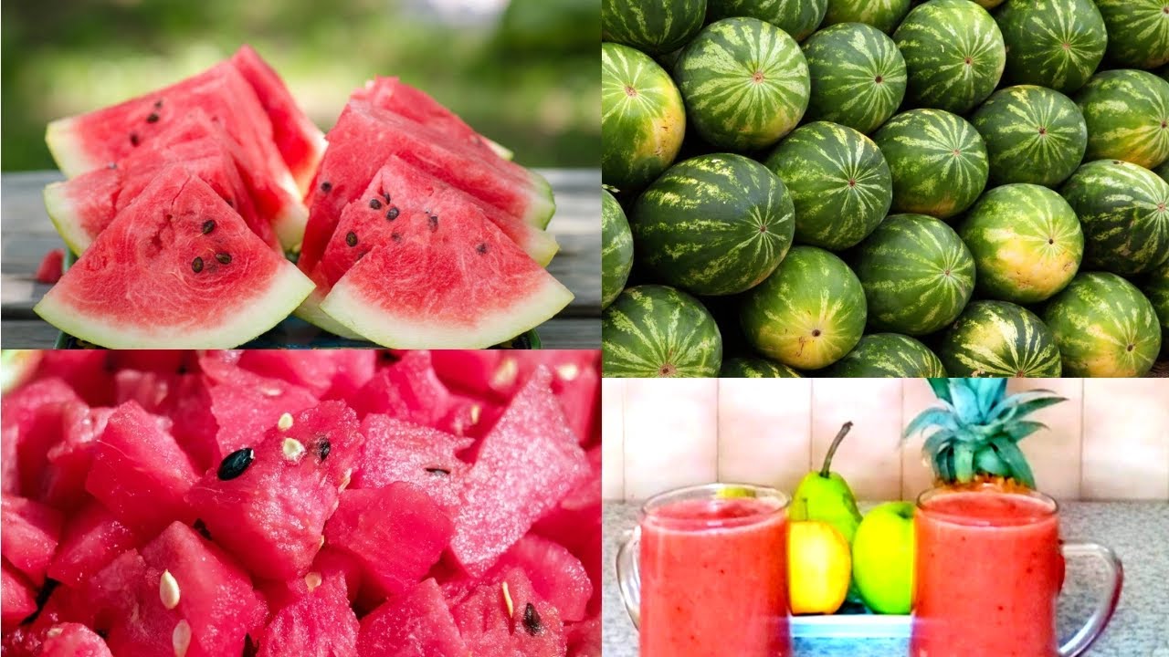 You will NEVER throw watermelon seeds away again after watching this video!