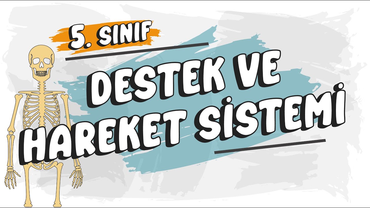 Destek ve Hareket Sistemi | 5. Sınıf Fen Bilimleri #2025