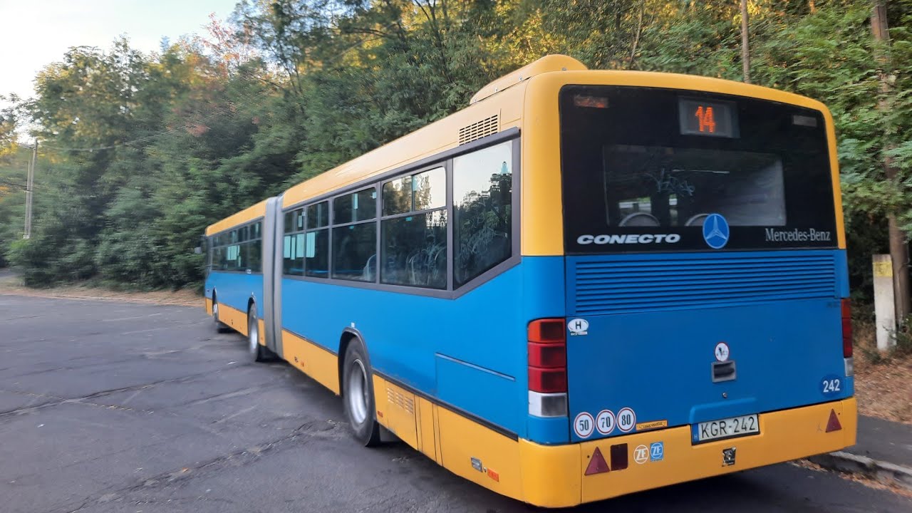 Buses in P&eacute;cs 2025 Summer