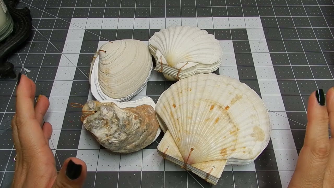 DIY Seashell books #satmornmakes #seashellcraft #minibooks