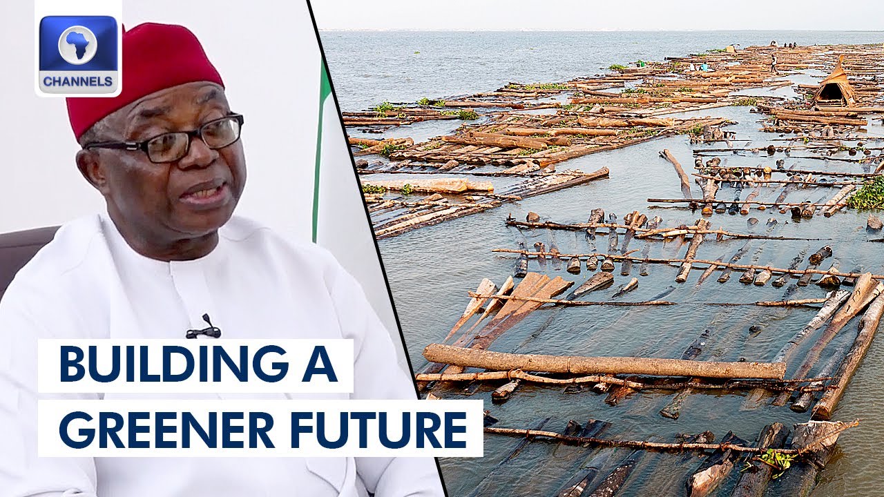 How Nigeria Can Implement Climate Change Policy - Onuigbo | News Night