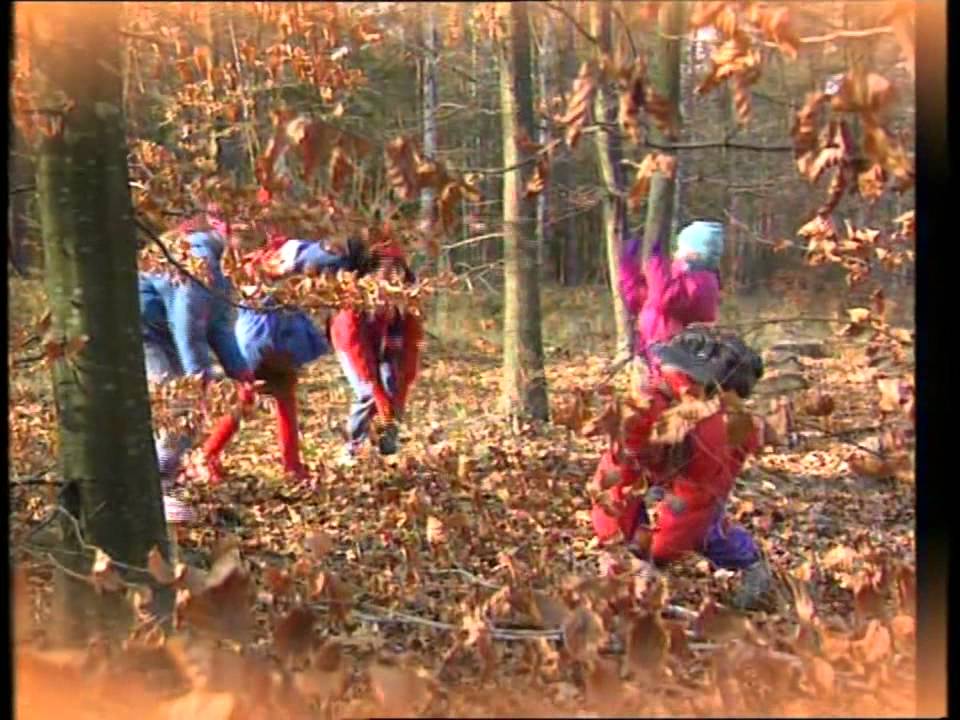 Jesienny kujawiaczek - CHOCHLIKI