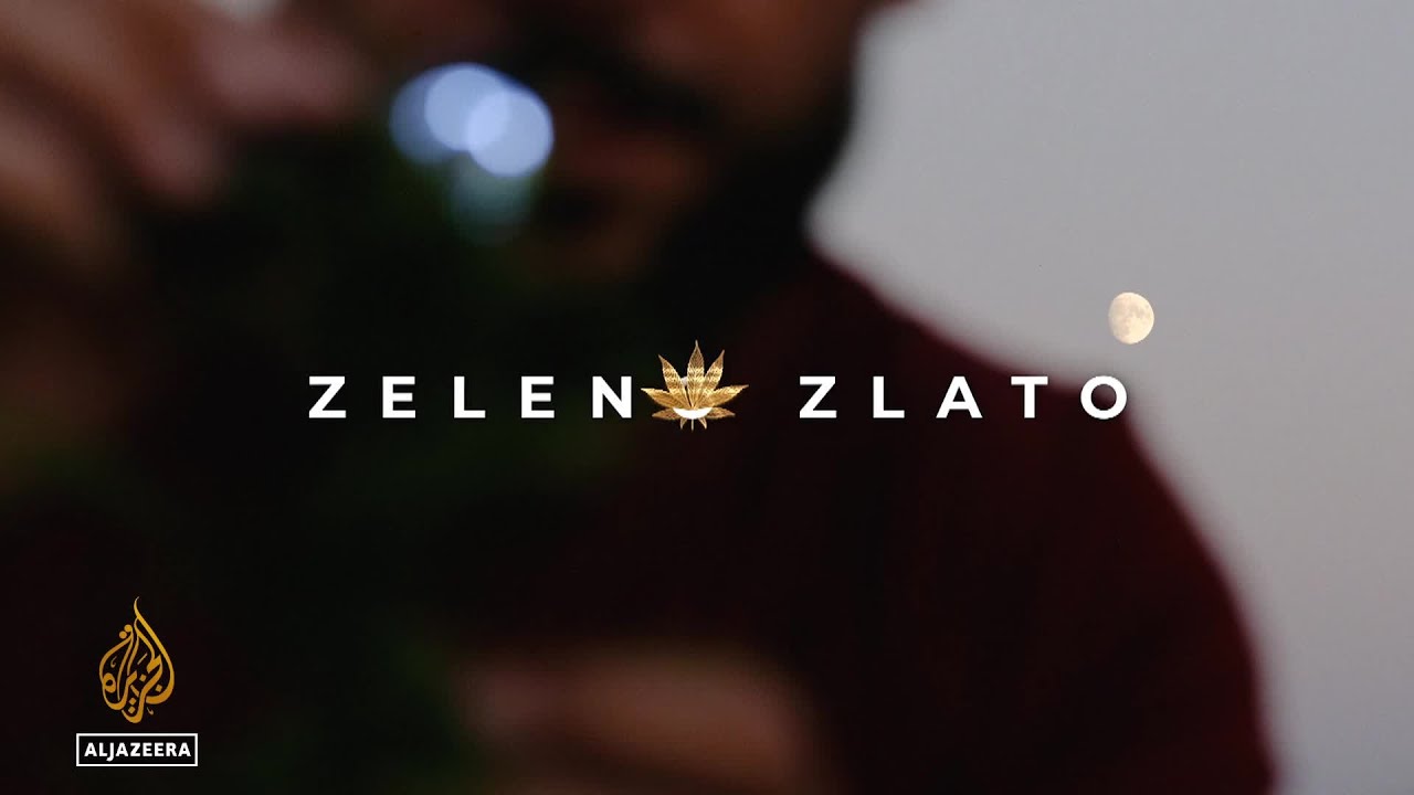 Zeleno zlato | Fullscreen