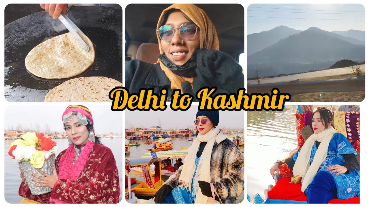 Delhi se Srinagar kaise gaye/ Kashmir vlog #dailyvlogs#vlogging 
