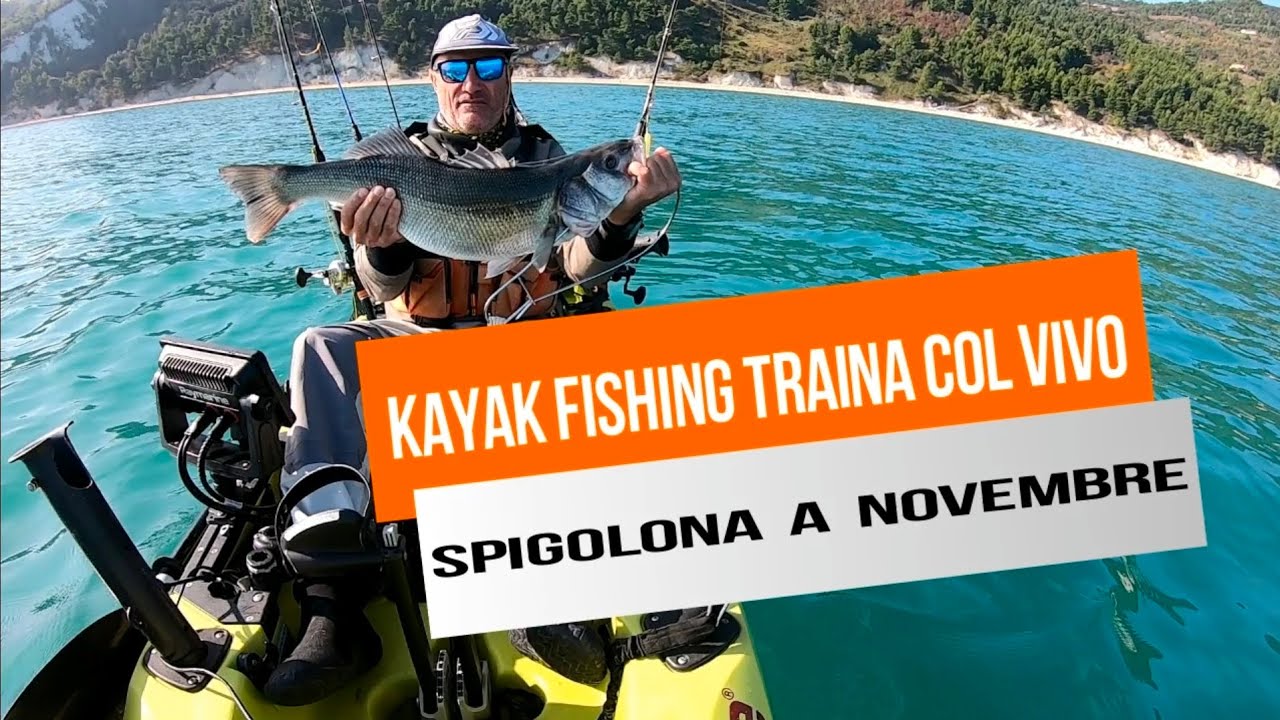 Spigola Big in Kayak fishing  a Traina con il vivo!!!!!