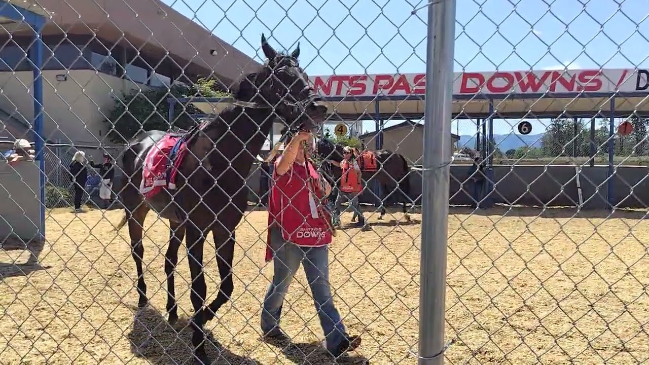 2025年6月22日。Grants Pass Downs競馬場第5レースパドック終わり