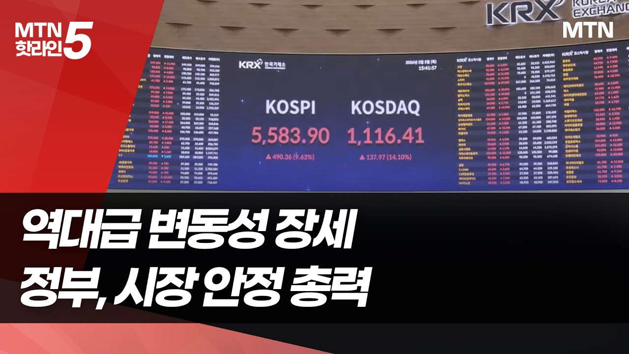 증시 역대급 변동성…정부, 시장 안정에 총력 / 머니투데이방송 (뉴스)