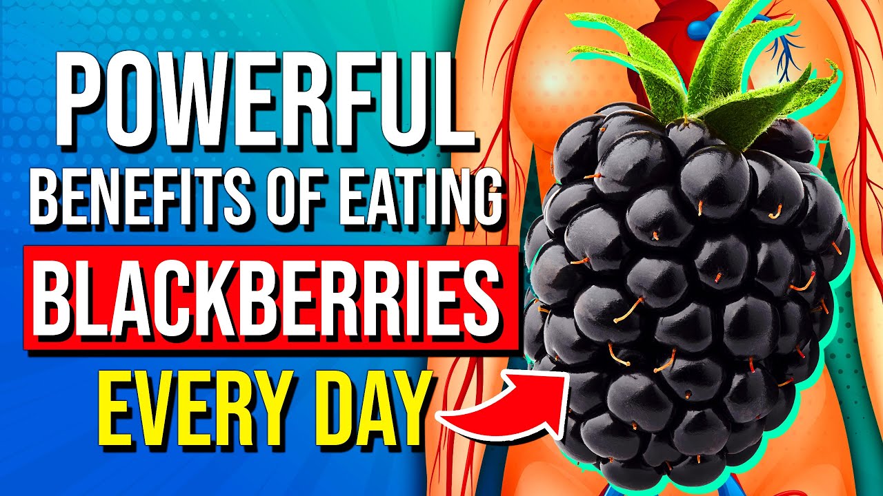 7 POWERFUL Health Benefits Of Eating Blackberries Every Day