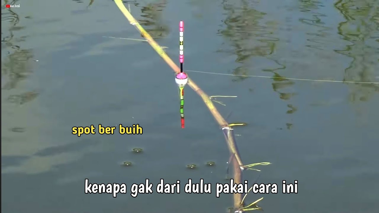 cara memilih spot ikan nila ikuti cara saya 100% di jamin berhasil