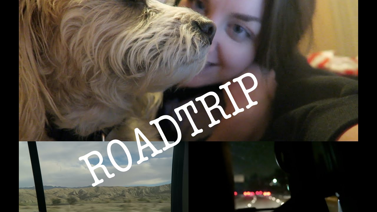 ROADTRIP, GELABER & EIN BISSCHEN ALLTAG I AUPAIR CALIFORNIA 2016