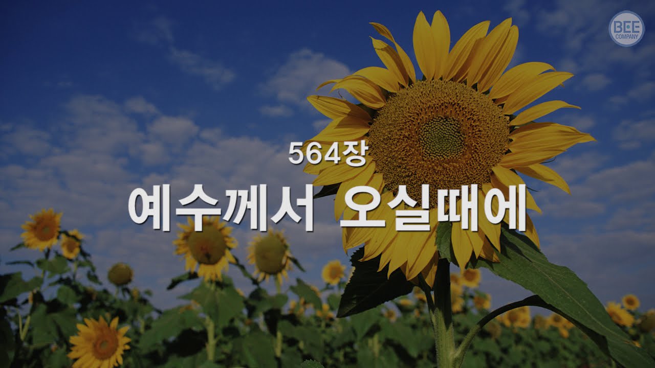[새찬송가] 564장 예수께서 오실 때에