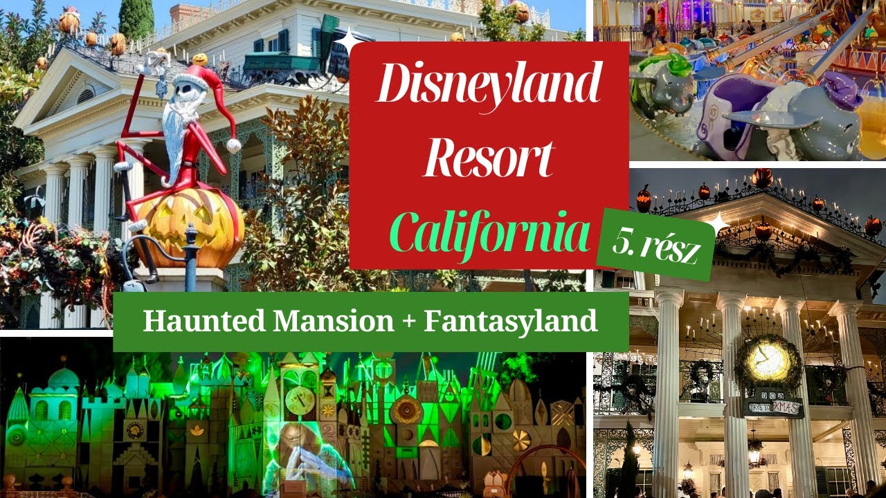 USA / DISNEYLAND VLOG (magyarul) - 5. rész #disneylandresort #utazás #magyar
