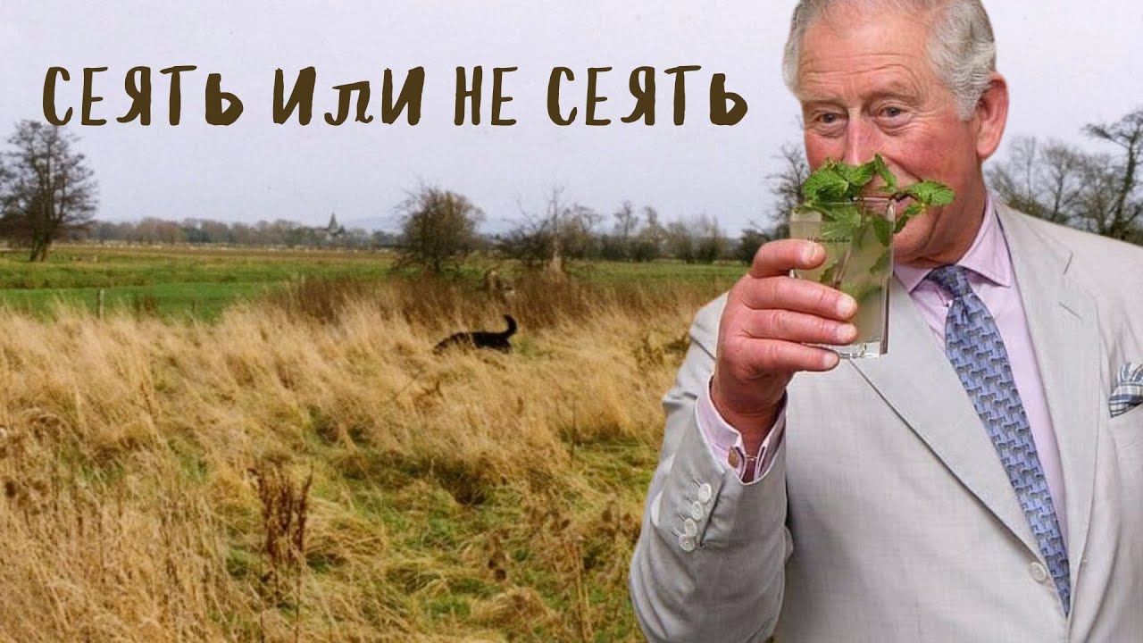 Челси 2025  новая генерация