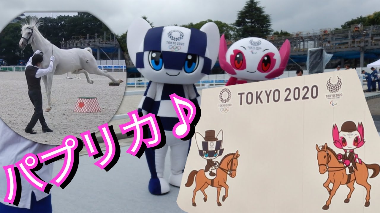 馬術 【パプリカ】 東京2020オリンピック 応援ソング プレイベント JRA 馬事公苑