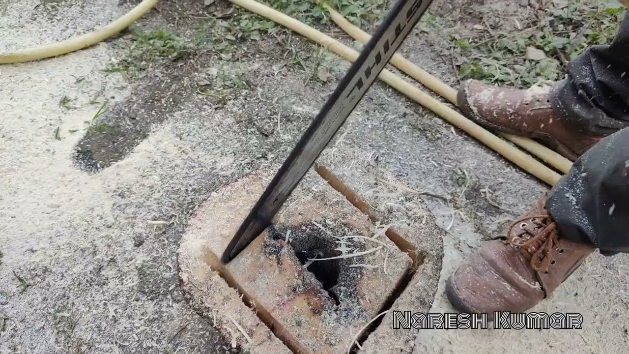 The Art Of Log Hive Making | Swarm Trap #apisceranaindica #beekeeping #shortvideo #tiktok #mandihp