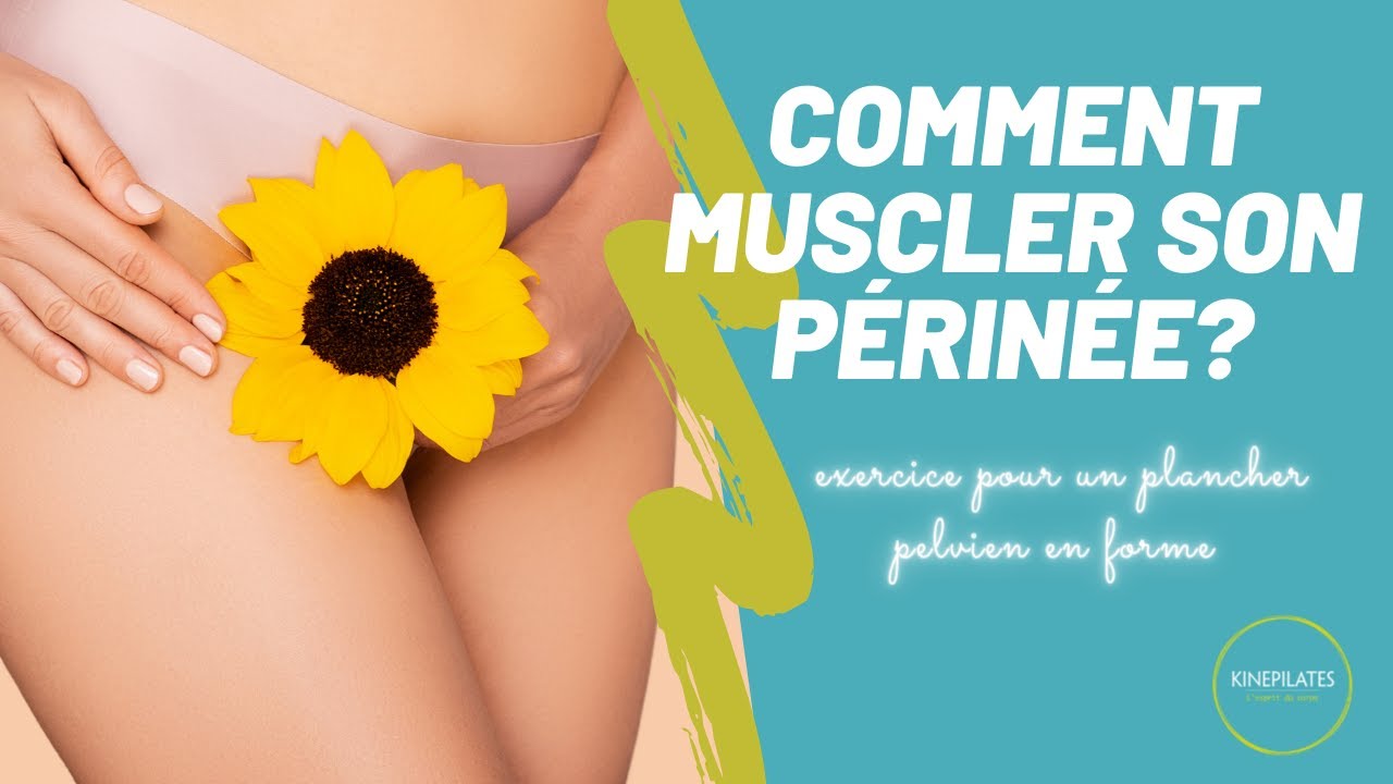 Comment muscler son périnée ? (muscles du plancher pelvien)