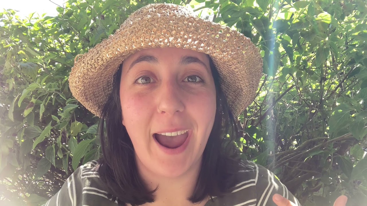 ABCs of Scientific Illustration