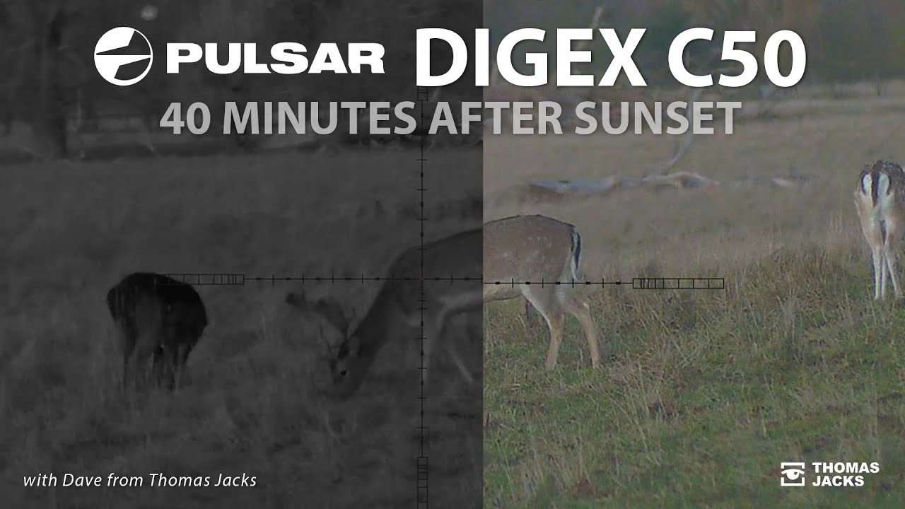 Pulsar Digex C50 Infrared & Colour at Twilight