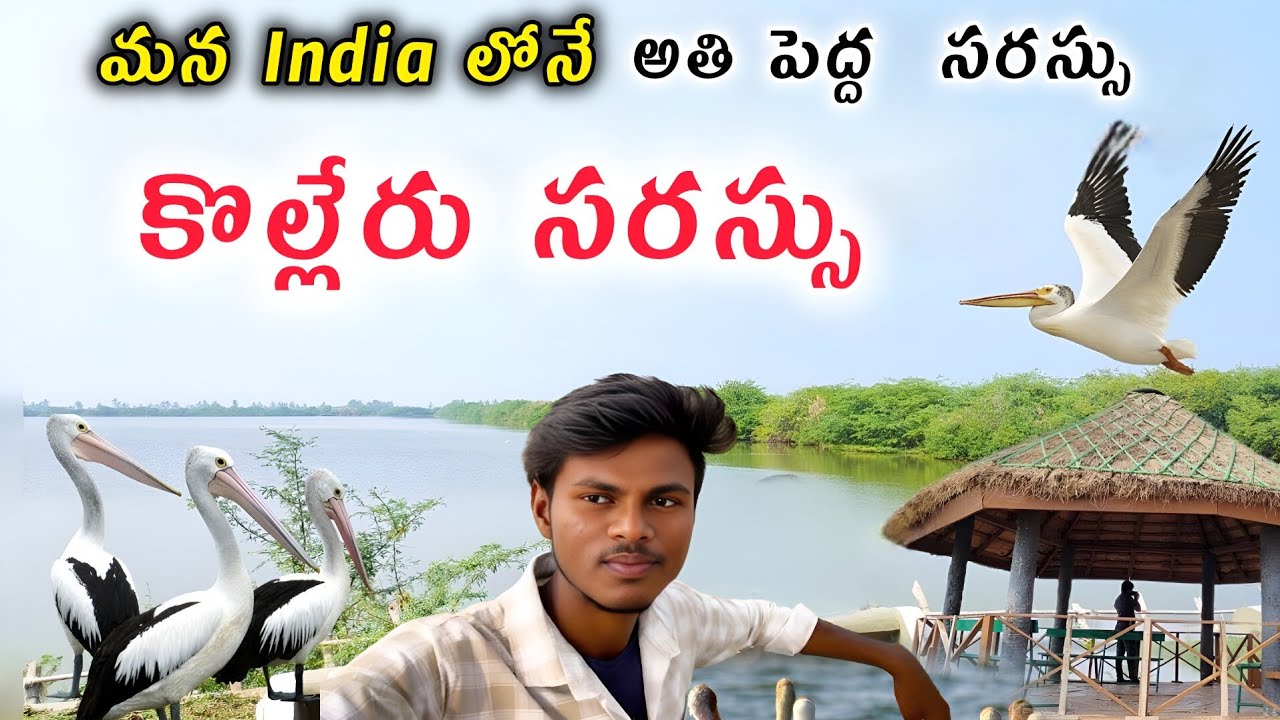 ఆసియా లోనే అతి పెద్ద మంచినీటి సరస్సు | kolleru Lake View | Kolleru Sarassu | Kolleru Lake 2026 