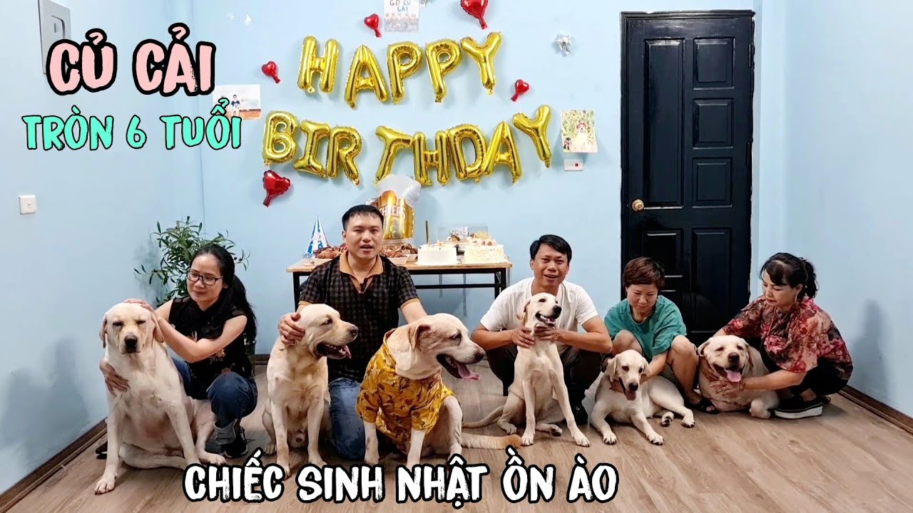 Củ Cải tròn 6 tuổi - 1 chiếc sinh nhật đầy ồn ào cùng các Chút Chít
