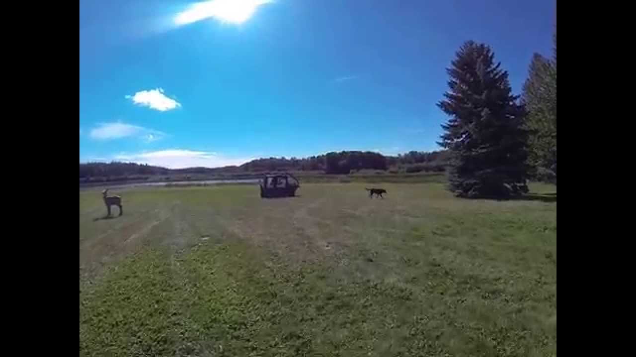 Disabled Hunter Sam's Modified Argo ATV UTV Off-Road Sept 3rd 2015