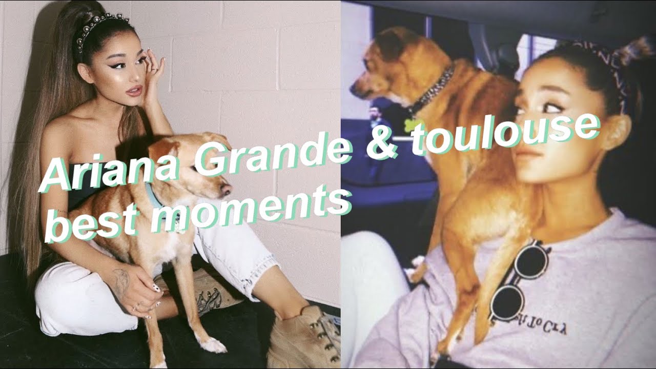 Ariana Grande & toulouse best moments