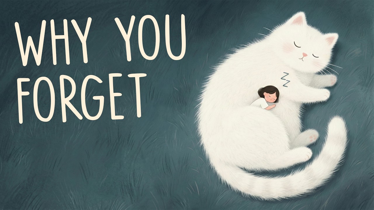 Why You Forget What You Study (The Sleep–Fluency Connection) | English Learning Podcast
