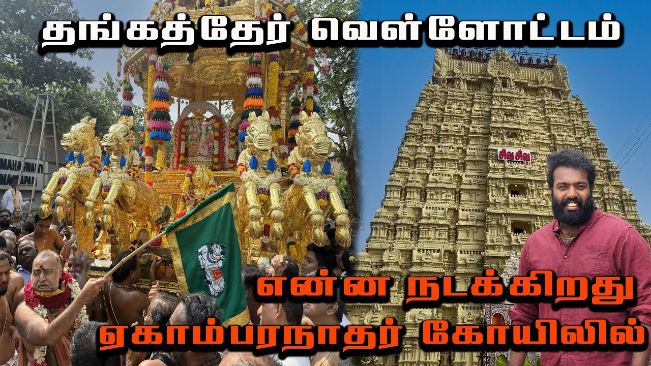 காஞ்சிபுரம் ஏகாம்பரநாதர் திருக்கோயிலின் தங்கத் தேர்த் திருவிழா தொடக்கம் , Ekambaranathar Temple