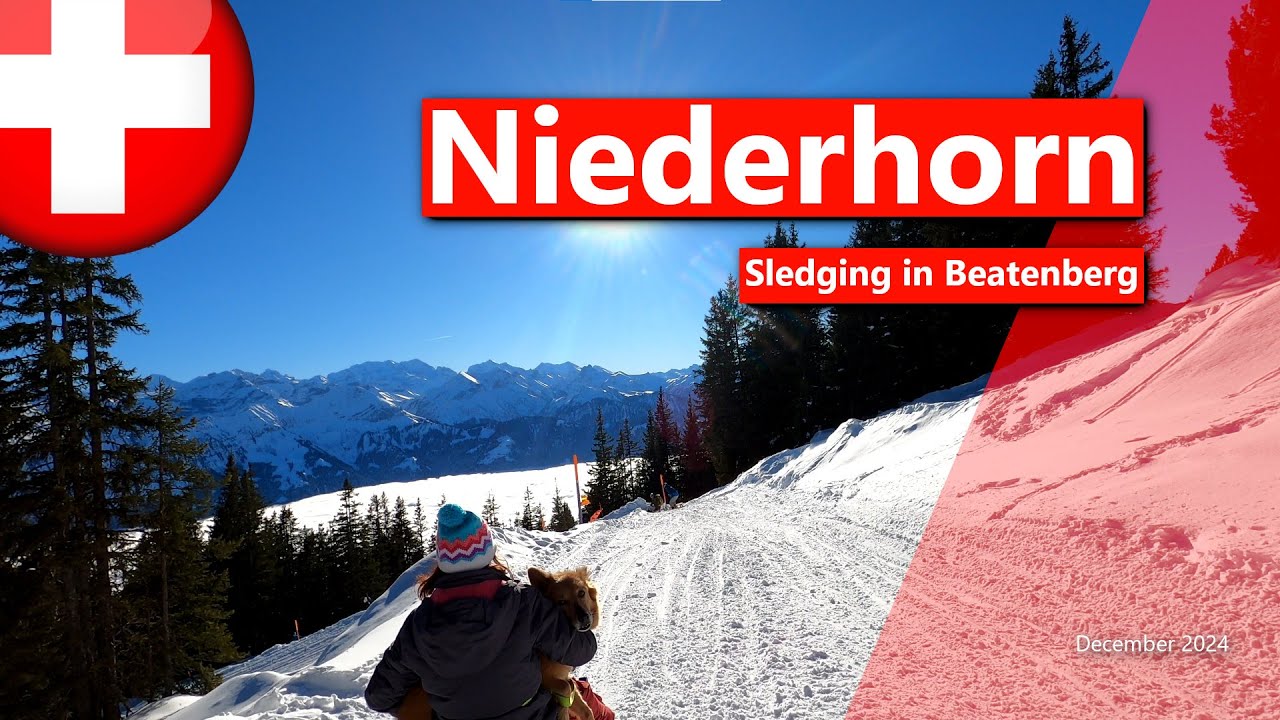 Family Simm - Niederhorn, Sledging in Beatenberg