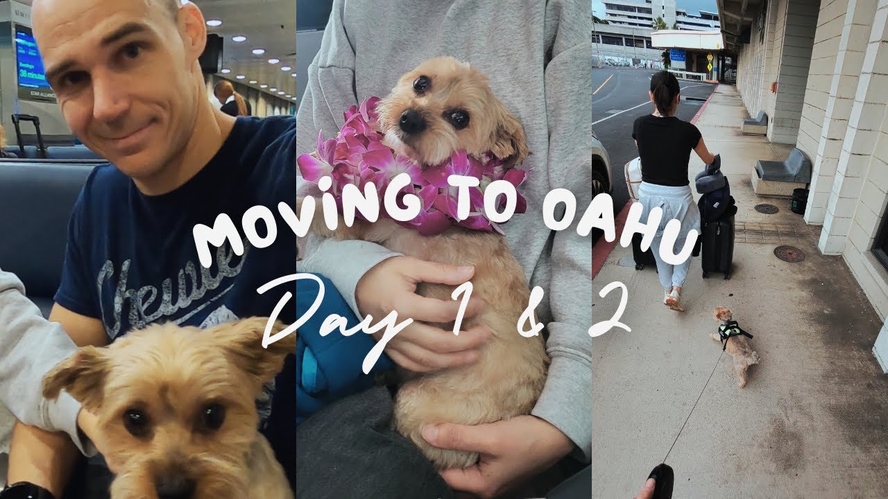 Moving to Oahu Day 1 and 2