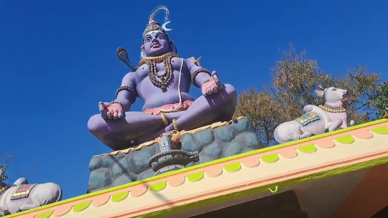 मंदिर दर्शन, नारियल की खरीदारी और घर की रात की रसोई | मेरा दिनभर का व्लॉग