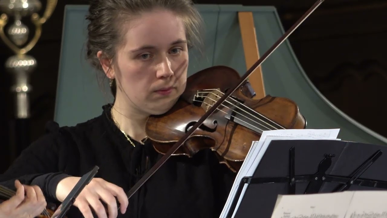 Iris ensemble : Eine kleine Nachtmusik W.A. Mozart