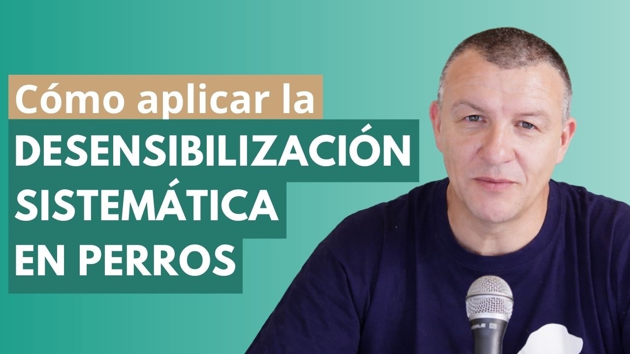 Cómo APLICAR la DESENSIBILIZACIÓN SISTEMÁTICA en perros para reducir el estrés y la ansiedad