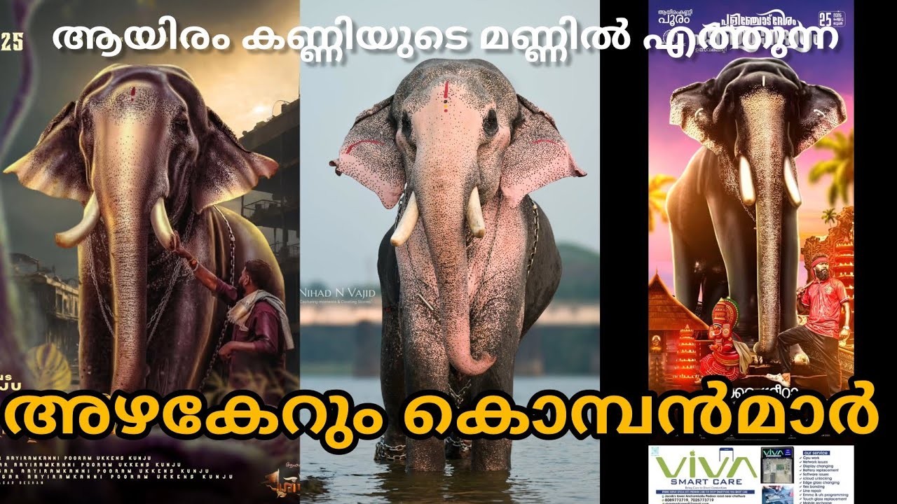 ആയിരം കണ്ണിയിലെ അഴകുള്ള കൊമ്പന്മാർ 🐘|AAYIRAM KANNI POORAM 2026