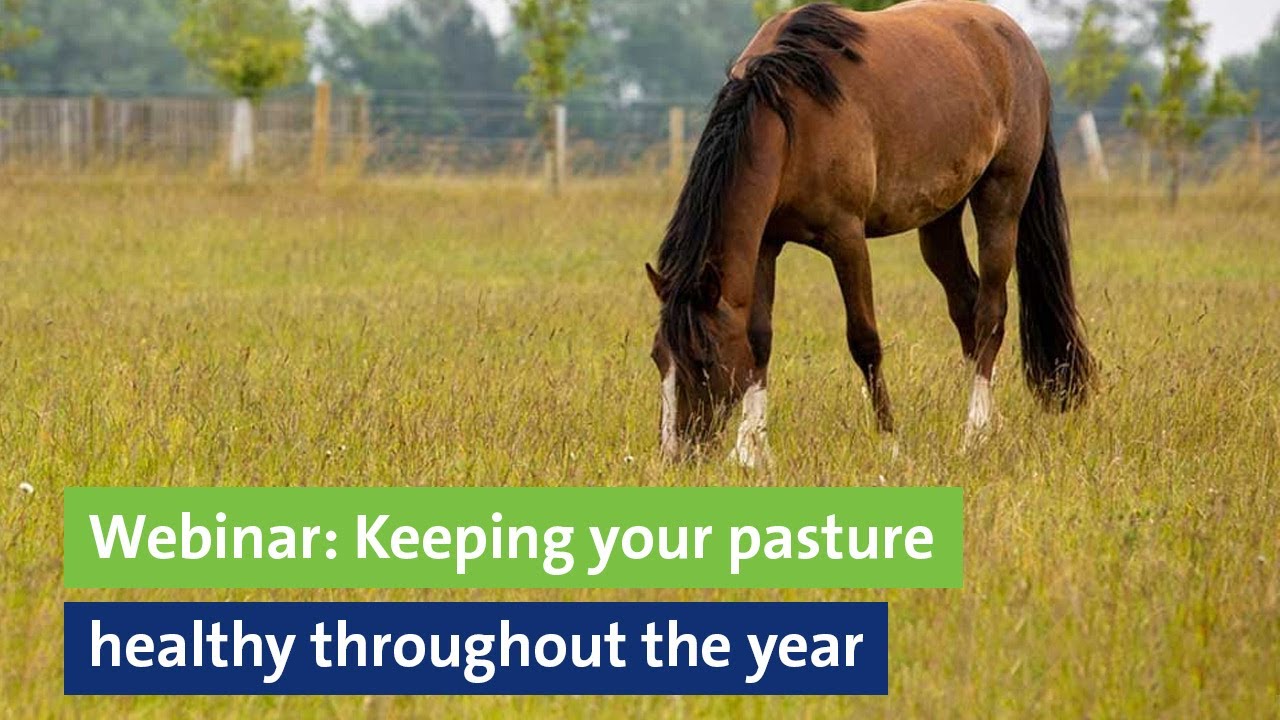 Webinar: Keeping your horse pasture healthy throughout the year