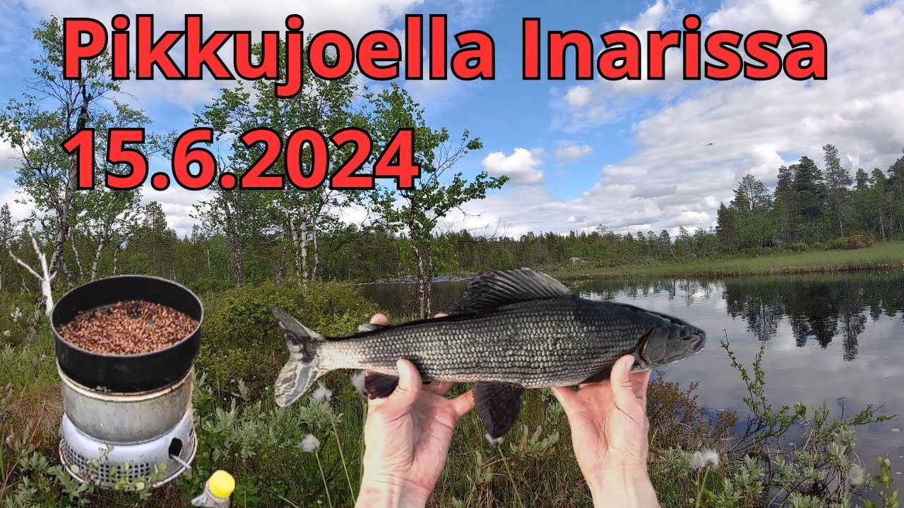 Pintovia kaloja ja nymfikalastusta | Harjuksen kalastusta Inarissa | Maailman helpoin retkiruoka