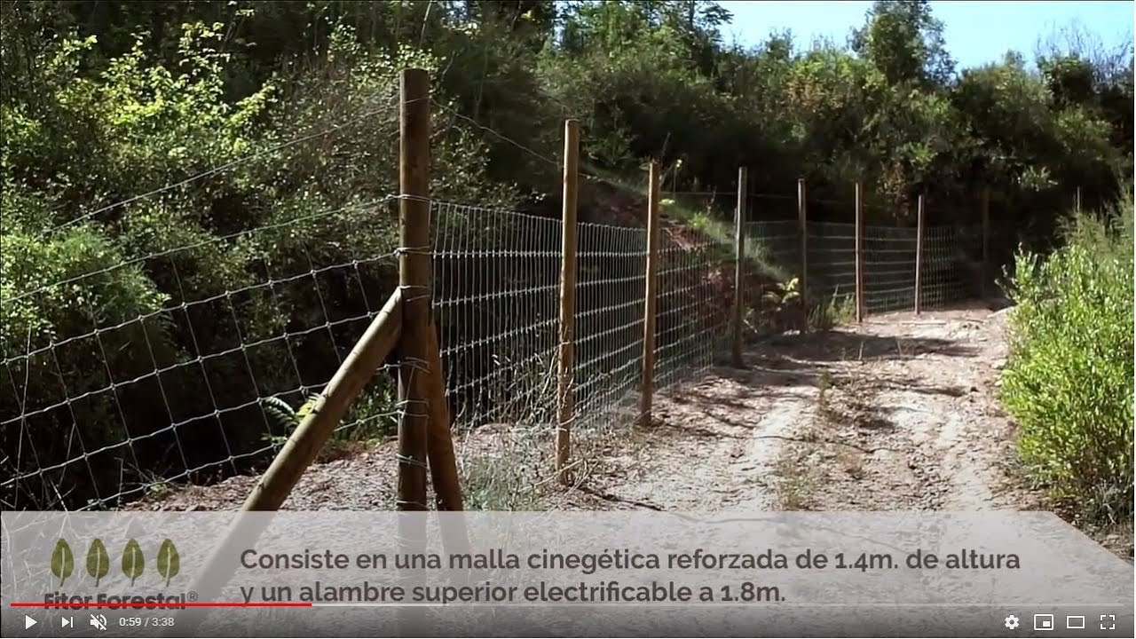 Tancat ramader realitzat per Fitor Forestal. Filmació amb dron.
