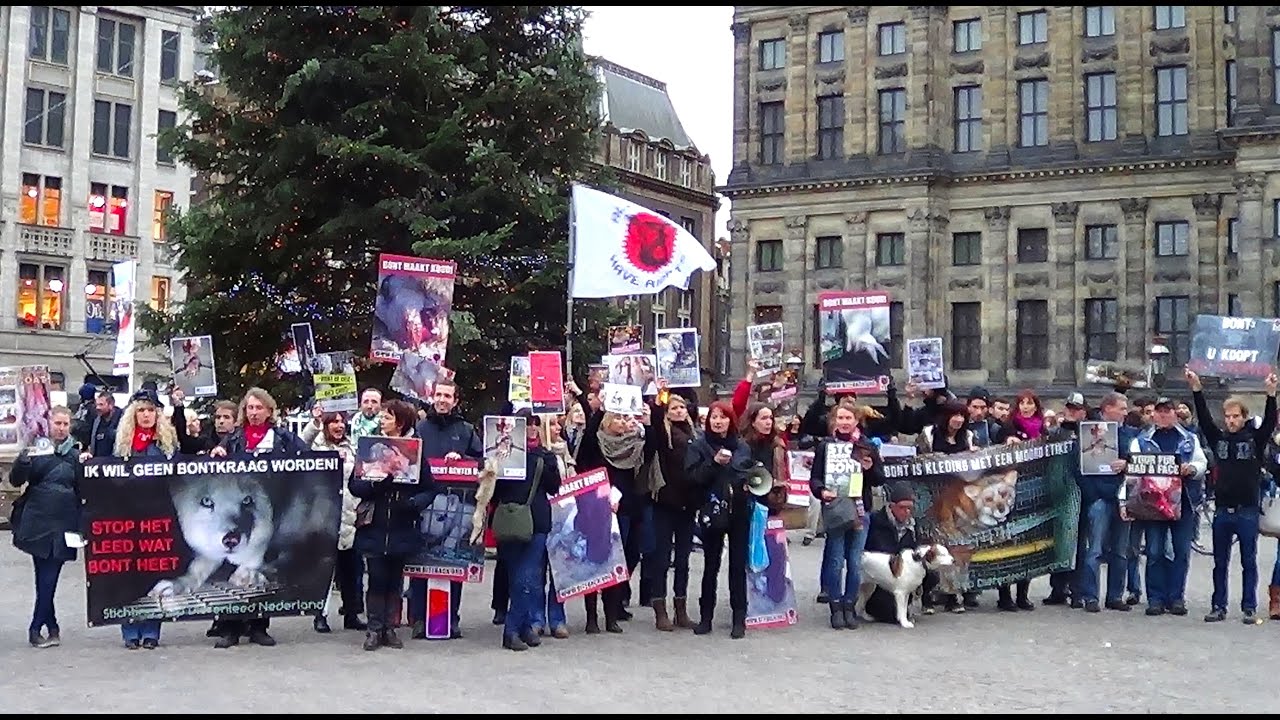 Anti-Bont demo in Amsterdam.