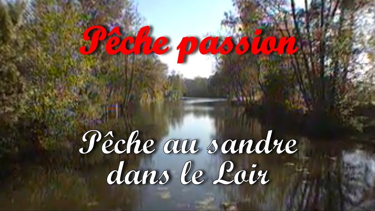 Pêche Passion : Pêche au sandre dans le Loir