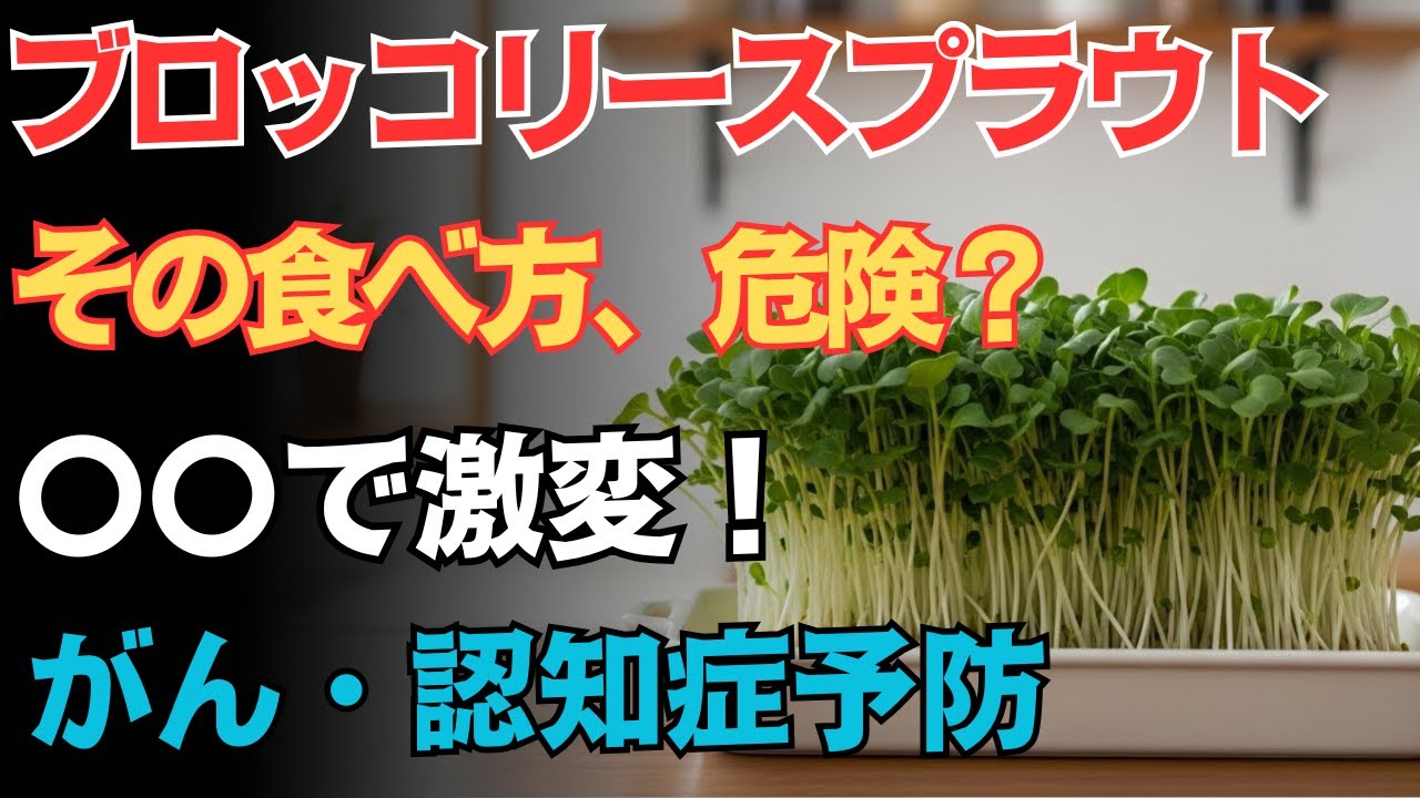 【体の中から若返る】生の7.5倍吸収！ブロッコリースプラウトを最大限に活かす「賢い食べ方」【毎日の健康習慣】