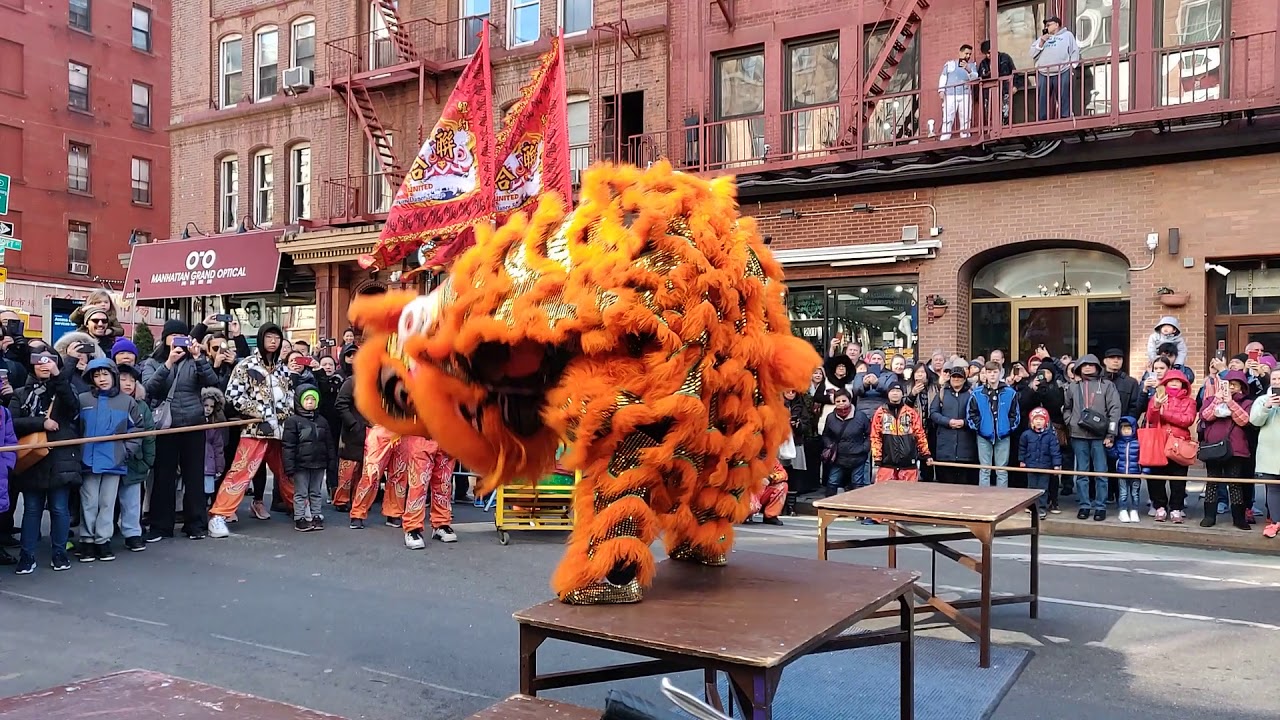 New York Lion Dance 2019 NYULDDT TABLE ROUTINE múa lân 舞狮