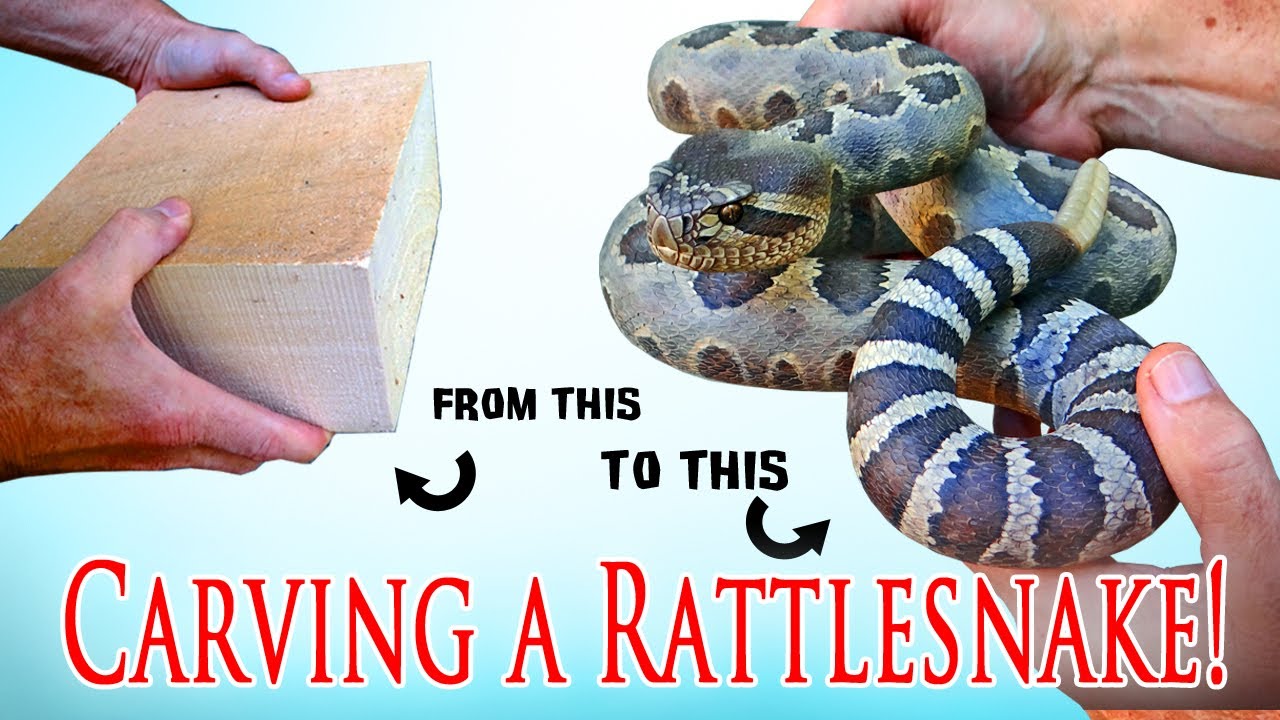 How I carved a Coiled  Rattlesnake from one Piece of Wood