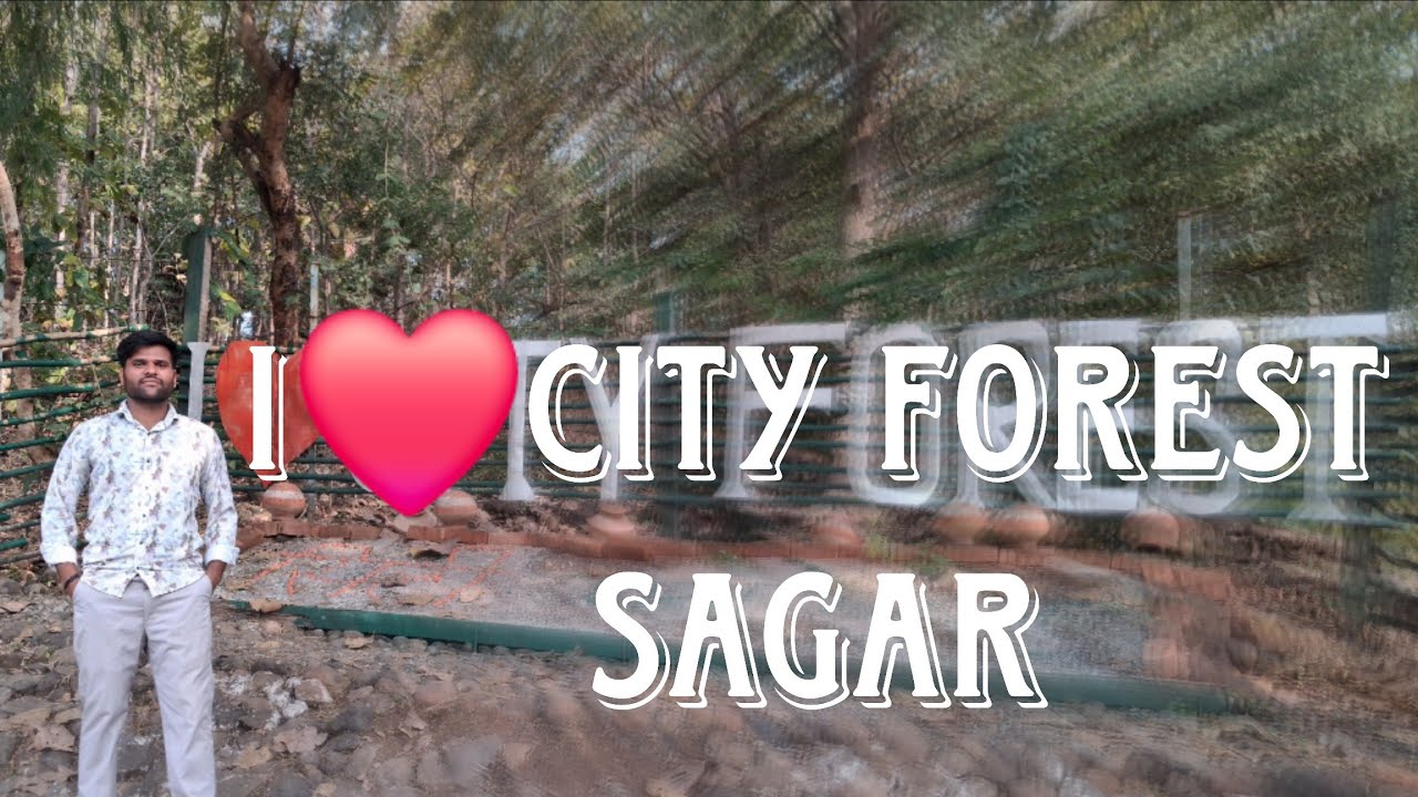 I❤️love city forest 