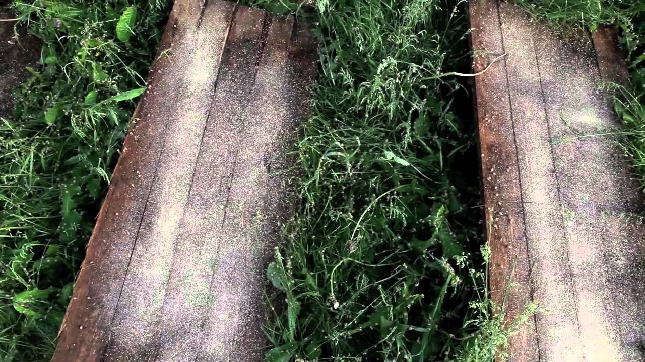 Hodowla ślimaków - 