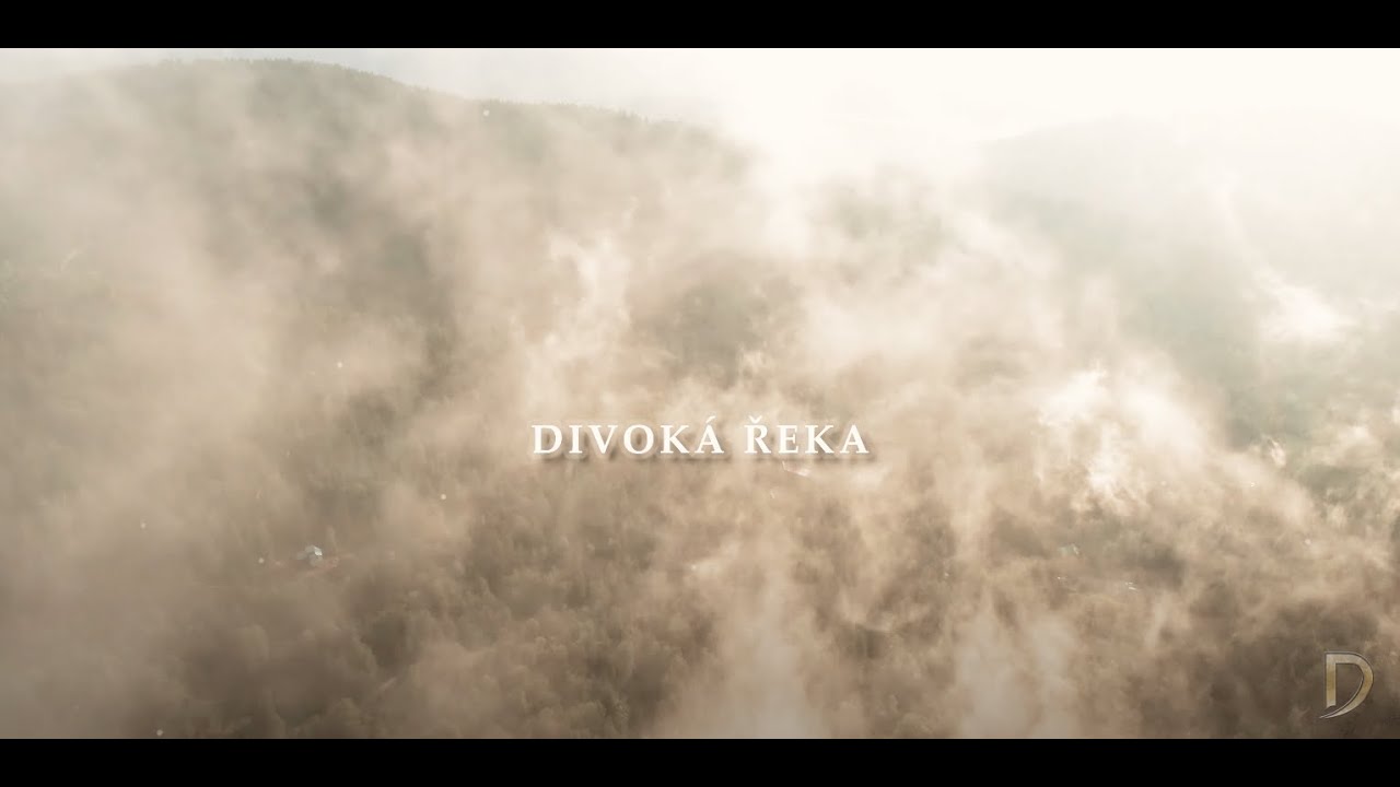DONOR - Divok&aacute; Řeka (Official Lyric Video)