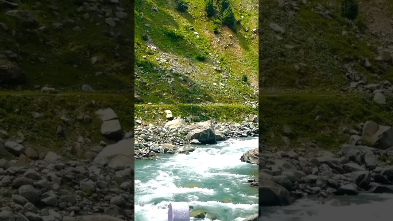beautiful Kashmir view 🌲🏞️🐎#shorts #youtubeshorts #trending #kashmir